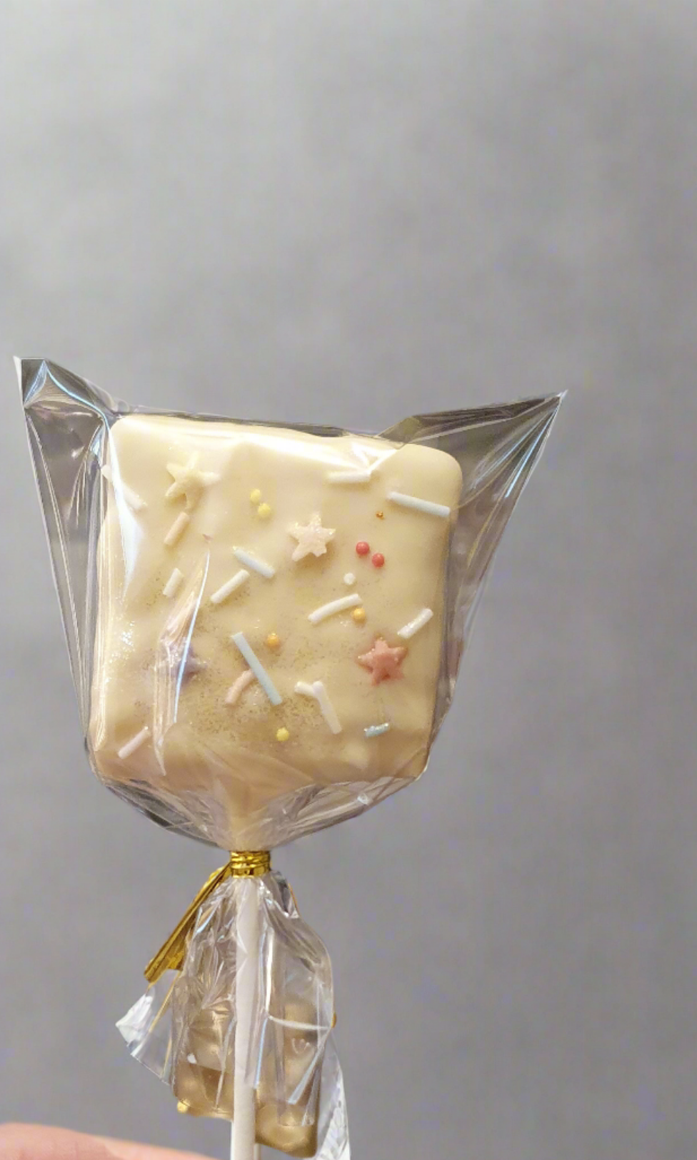 Chocolate Covered Rice Krispies