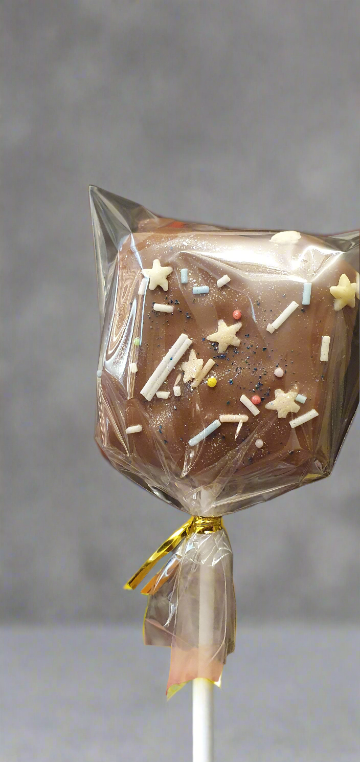Chocolate Covered Rice Krispies