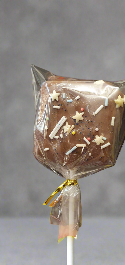 Chocolate Covered Rice Krispies