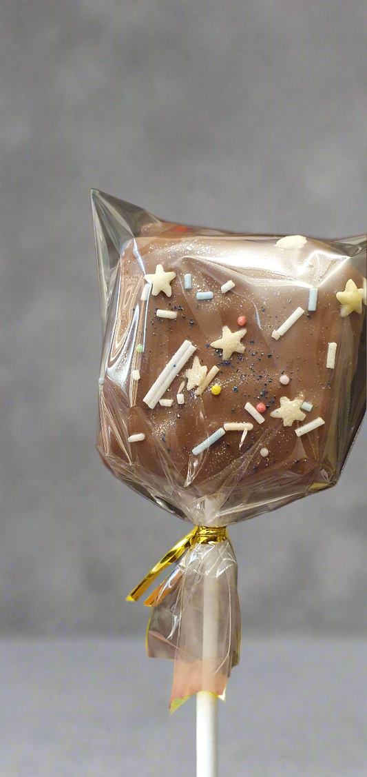 Chocolate Covered Rice Krispies